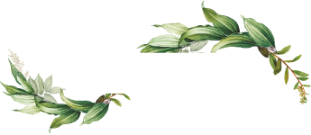 Bella's Blooms logo